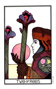 Staven Twee (Aquarian-deck)