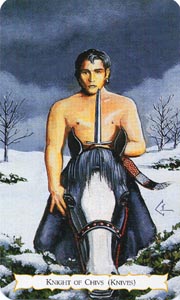 Ridder van Zwaarden (Buckland Romani-deck)