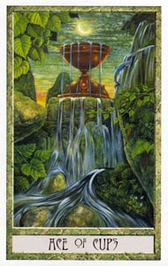 Kelken Aas (Druidcraft-deck)