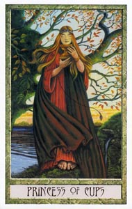 Schildknaap van Kelken (Druidcraft-deck)