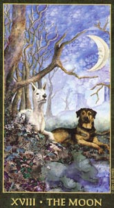 De Maan (Forest Folklore-deck)