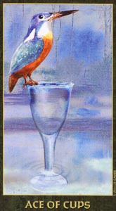 Kelken Aas (Forest Folklore-deck)