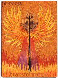 Schildknaap van Staven (Gill-deck)