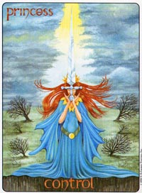 Schildknaap van Zwaarden (Gill-deck)