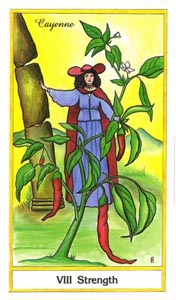 Kracht (Herbal-deck)