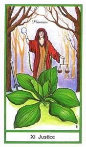 Gerechtigdheid (Herbal-deck)