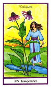 Matigheid (Herbal-deck)