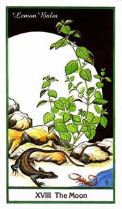 De Maan (Herbal-deck)