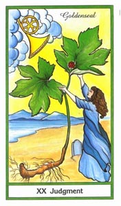 Het Oordeel (Herbal-deck)