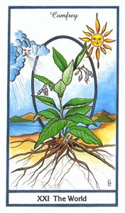 De Wereld (Herbal-deck)