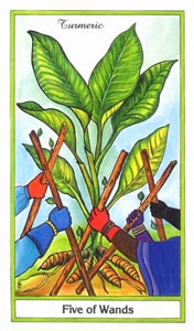 Staven Vijf (Herbal-deck)