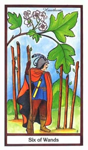 Staven Zes (Herbal-deck)