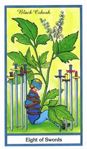 Zwaarden Acht (Herbal-deck)