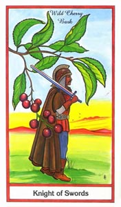 Ridder van Zwaarden (Herbal-deck)