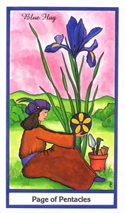 Schildknaap van Pentakels (Herbal-deck)