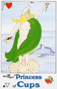Schildknaap van Kelken (Parrott-deck)